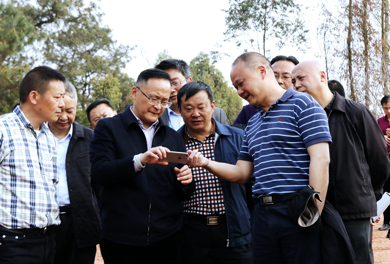 市人大主任譚豹率隊到公司建設項目新國田園綜合體現(xiàn)場調研
