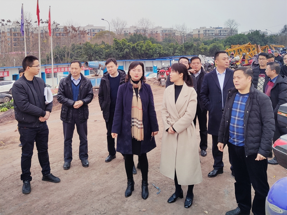 高新區(qū)管委會(huì)主任單鑫視察公司天問(wèn)苑項(xiàng)目建設(shè)情況