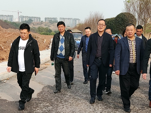 市委常委、高新區(qū)黨工委書記張邦舉帶隊視察督導(dǎo)公司臥龍湖西區(qū)生態(tài)修復(fù)工程項目建設(shè)推進(jìn)情況