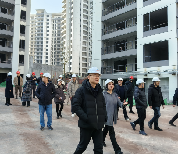 高新區(qū)管委會主任謝飛調(diào)研匯東鹽都印象項目