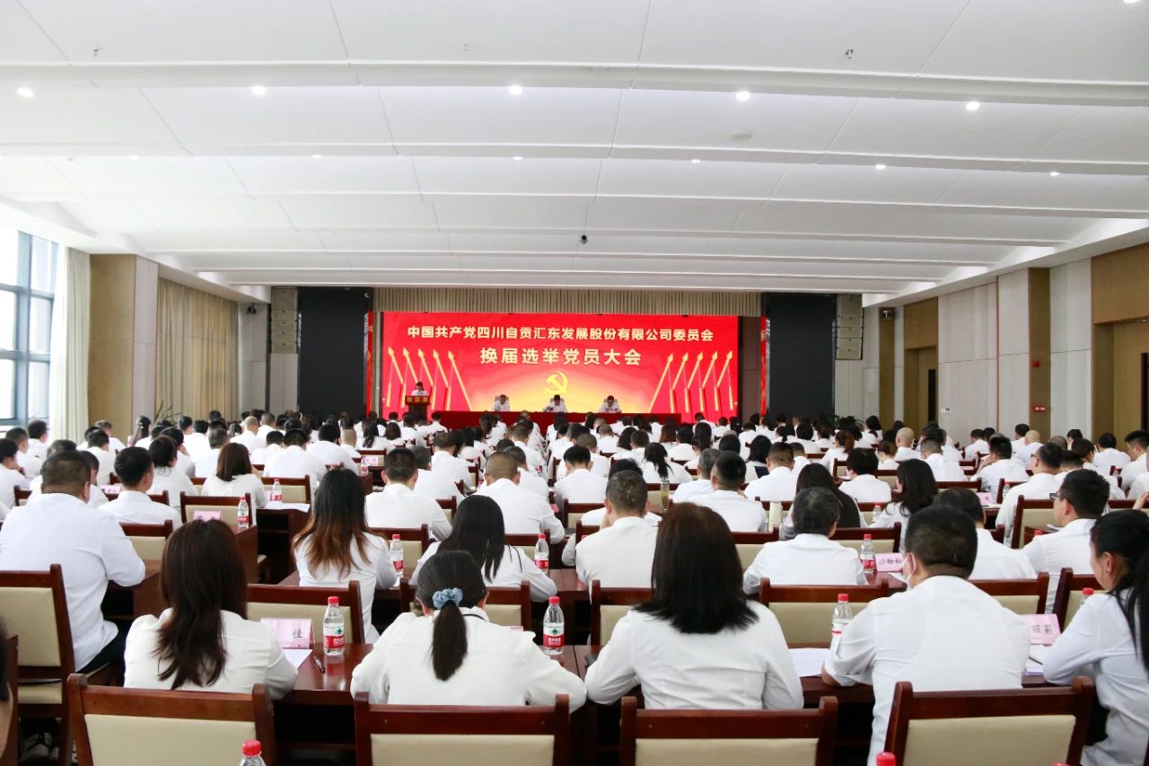 砥礪奮進啟新程 凝心聚力譜新篇丨匯東股份公司黨委換屆選舉黨員大會順利召開