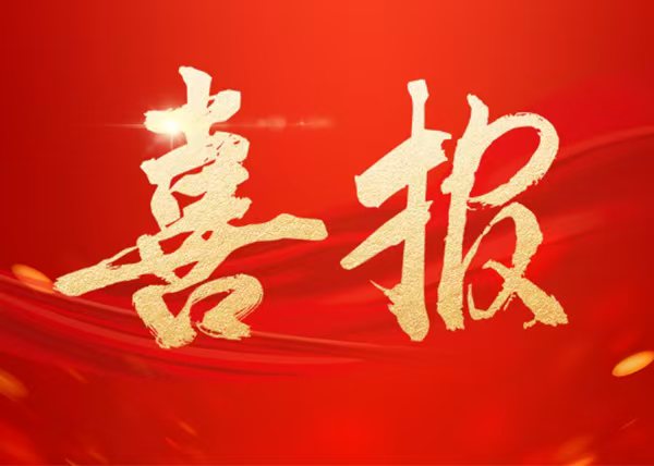 匯東股份公司及下屬企業(yè)2人榮獲自貢市2023年度重大項目攻堅先進集體和先進個人